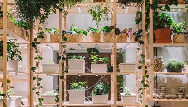 宜家将一幢120年的公寓楼改造成“明天之家”，提出未来家居的新主张