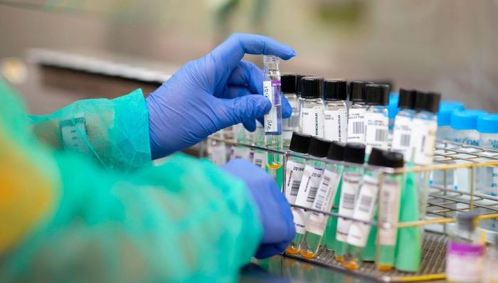 欧洲社会,天下故事,新冠肺炎