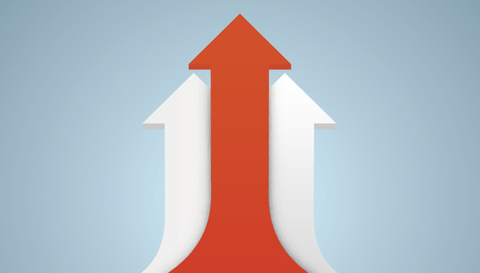 “单飞”上市前  奔富“明星产品”价格上调