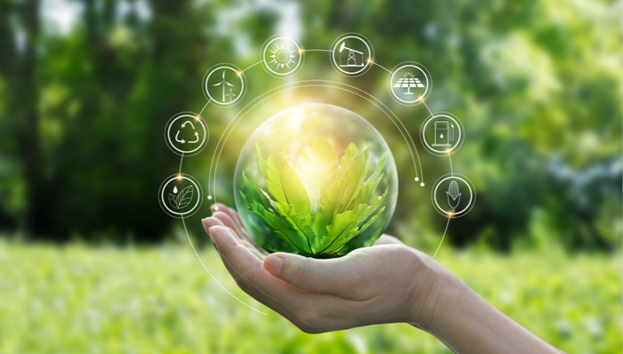 垃圾分类，环保产业，上海税务