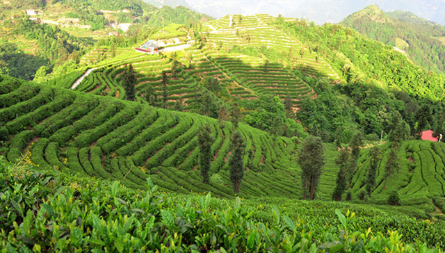 直通部委 | 20年来我国实施退耕还林还草5.15亿亩 全国已办理生态环境损害赔偿金超29亿