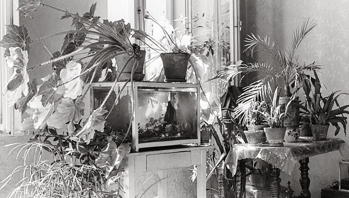 设计,建筑,书评