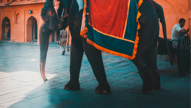 印度,封杀,抖音