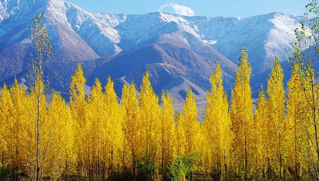 听伊春林区老百姓讲奋斗故事