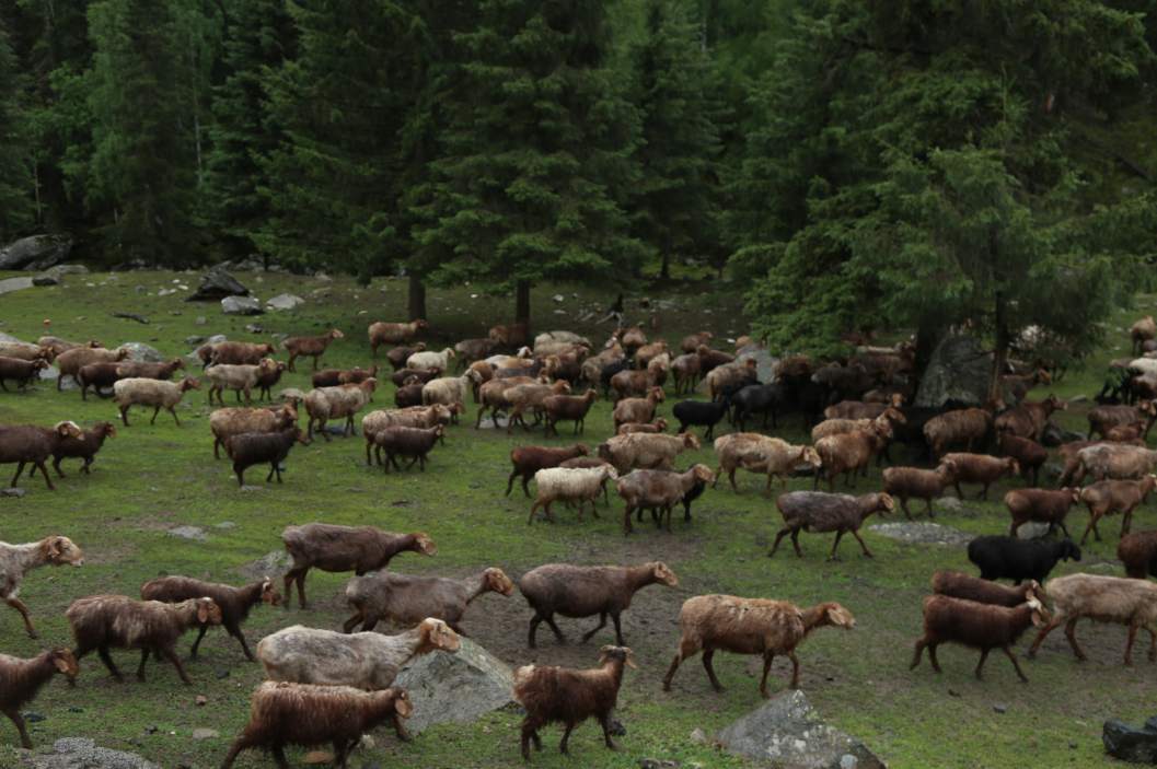 1593919849(1).png?x-oss-process=style/w10