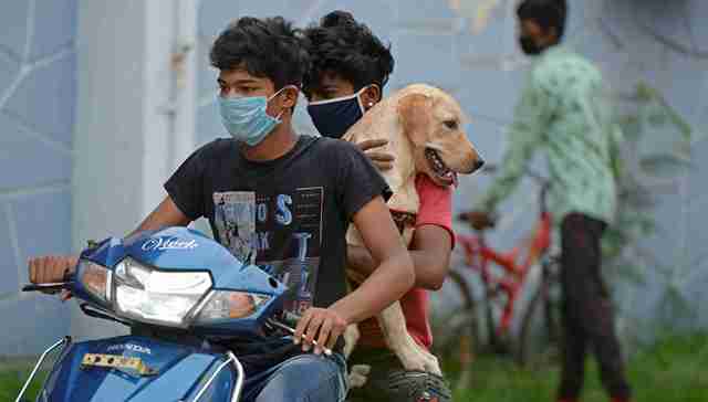 印度累计确诊病例超70万，巴西总统出现新冠症状，英国拟暂时减免房产印花税｜国际疫情观察（7月7日）