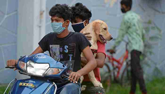 印度累计确诊病例超70万，巴西总统出现新冠症状，英国拟暂时减免房产印花税｜国际疫情观察（7月7日）