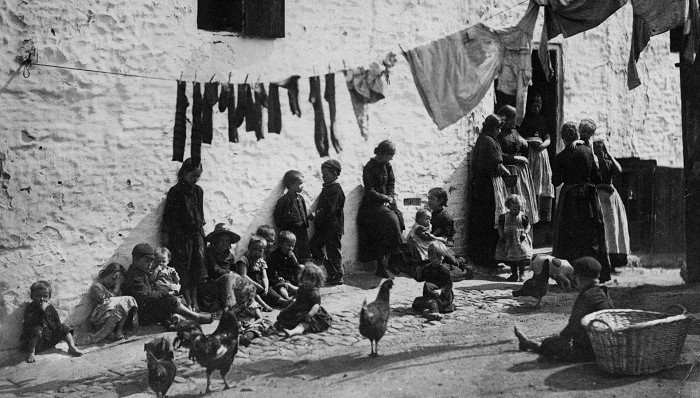 历史,贫困问题,书评