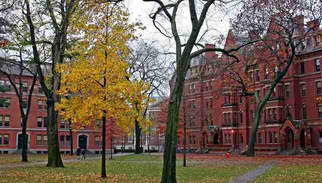 美国秋季学期大调整：留学生只上网课或被驱逐