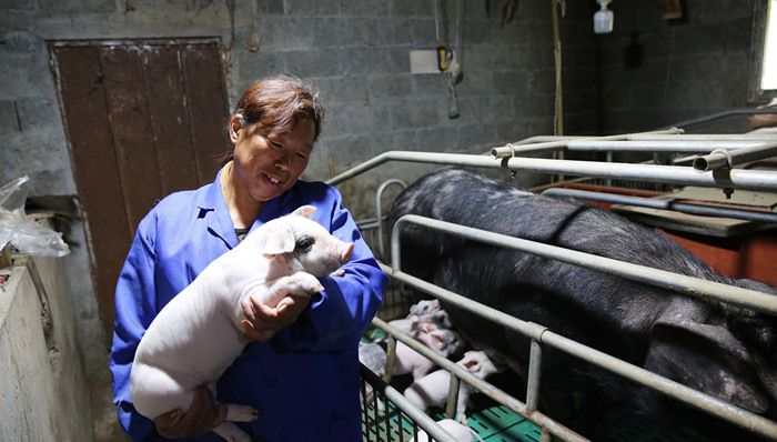 财经速递,猪肉,通胀