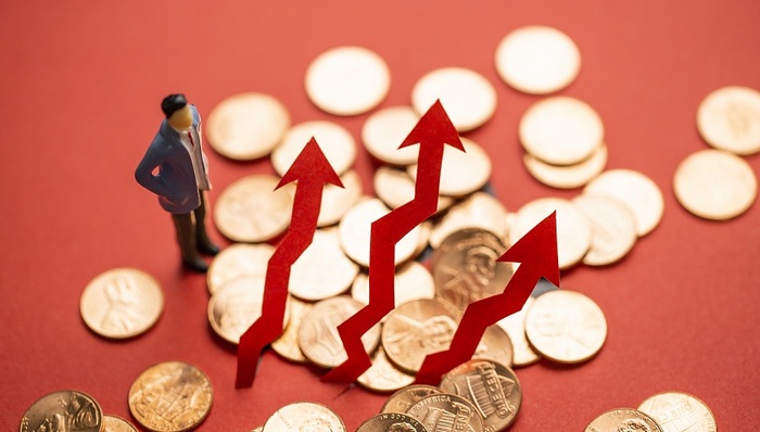 御家汇,网红经济