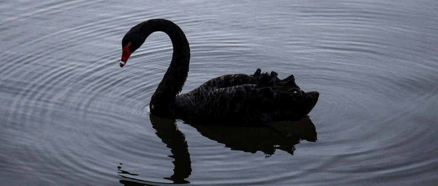 补偿,承诺,宜通世纪,监管函
