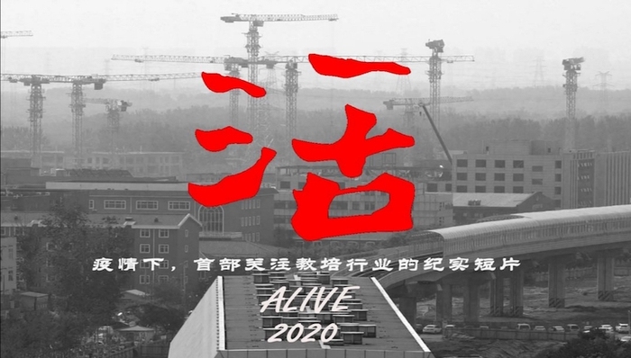 K12教育,教育产业