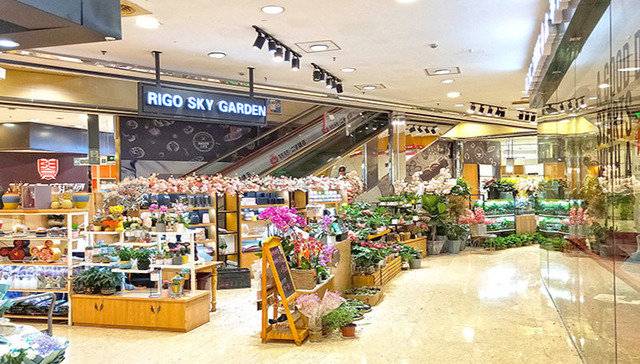 星巴克中国啡快服务多平台焕新，太平洋百货不夜城店年底将暂别上海 | 一周享乐指南