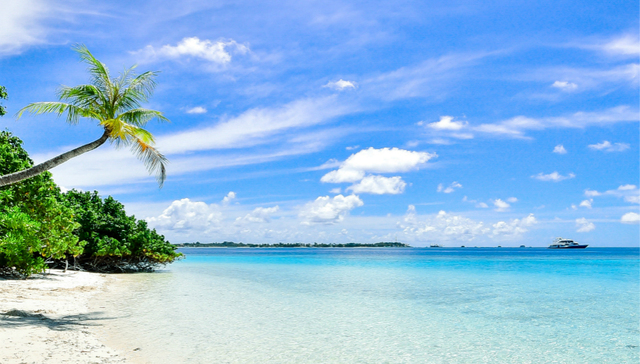 海南岛,自由贸易,免税店,A股市场,概念股