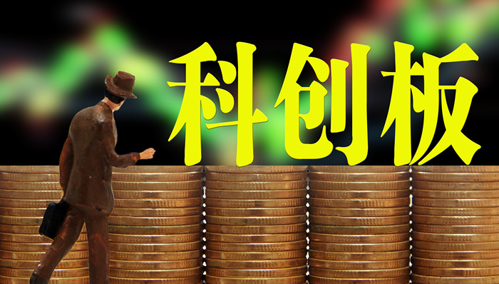 上市公司，港股，科创板，中芯国际