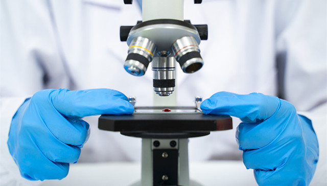 武汉又有2名小学生研究喝茶抗癌获奖，分别读三年级和五年级