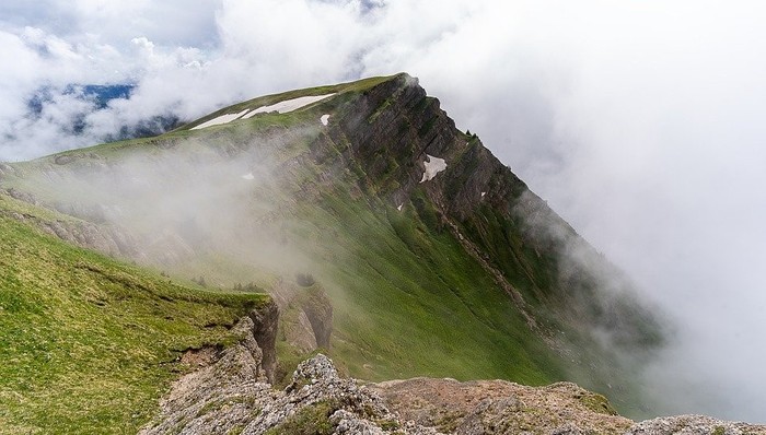 国内类固定收益：千淘万漉，吹尽狂沙始到金