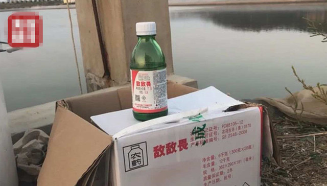 山东即墨回应：部分海参养殖户使用敌敌畏，有当事人被采取强制措施