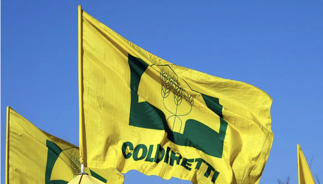 意大利,种植业,农民工