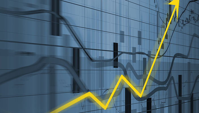 正心谷,新宝股份