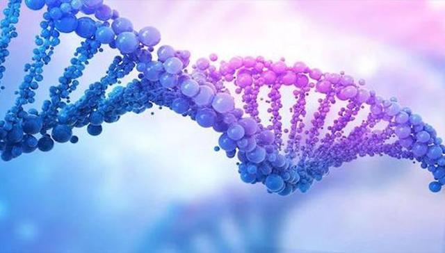 制药公司云顶新耀申请港交所上市，将8类药物相继引入中国