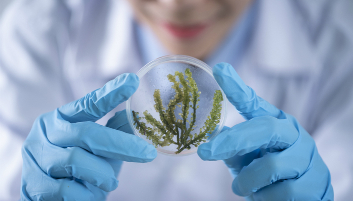 生命科学,衰老,抗衰老