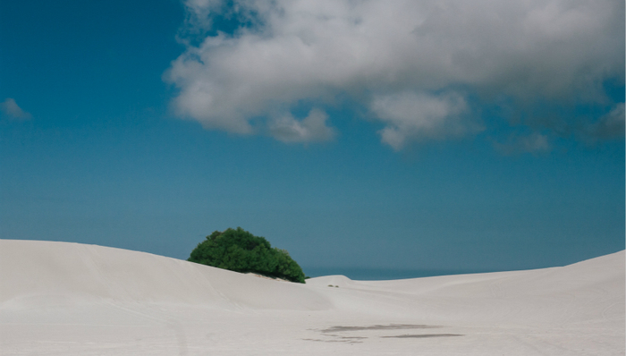 新疆,旅游产业,上市公司,新疆旅游第一股,西域旅游开发股份有限公司
