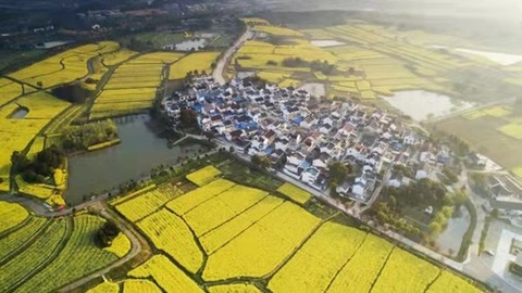 柑竹吟新曲，聚焦眉山决胜全面小康