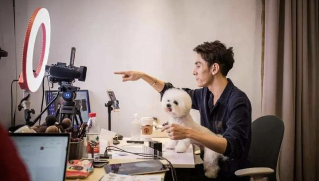 网红,直播,电商