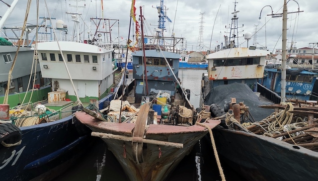 十年禁渔，抓捕，违法捕捞