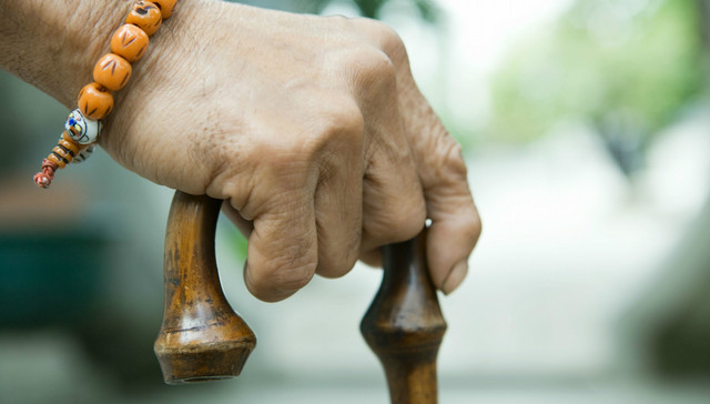 老龄化，家庭照护，服务