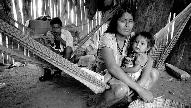 一周影像资讯丨拍摄切尔诺贝利核事故摄影师去世；上海国际电影节即将开始