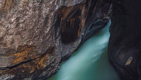 国内私募股权：危机中育新机，变局中开新局