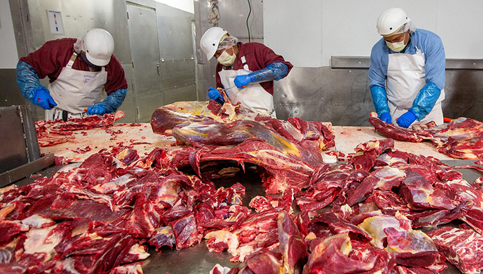 养殖业,劳动者,新冠肺炎