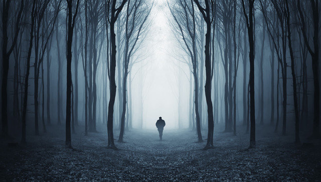 如果没有大地的支撑，人将失去分辨是非的能力 | 一周新书推荐