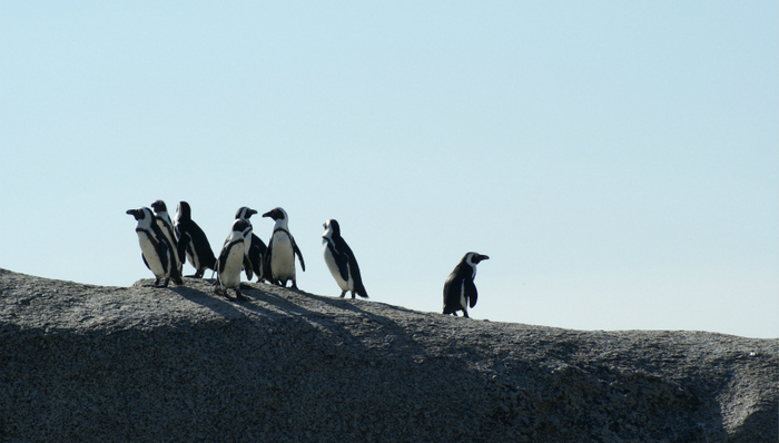 腾讯,社交媒体,场景社交