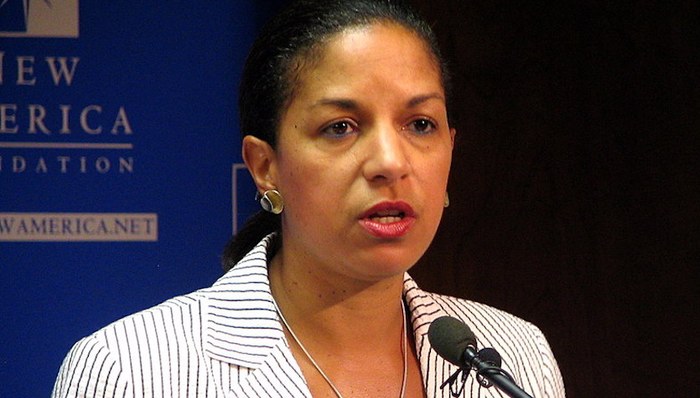 拜登,搭档,安全顾问,黑人女性