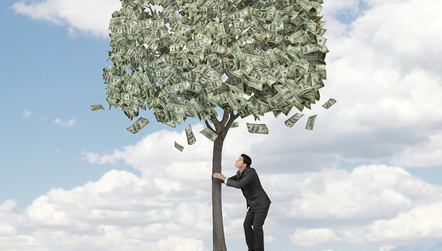 青青稞酒股价走出年内新高，半年报预亏超3300万元，控股股东也要出手减持