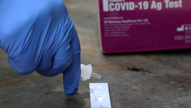 确诊,新增,死亡,世卫组织,邮轮,巴西,内政部长,日本,白宫