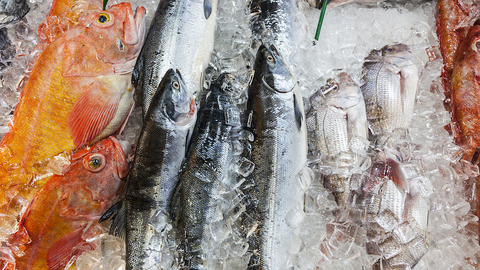 市场关停、销量暴跌，数十万海鲜从业者面临最难熬的夏天