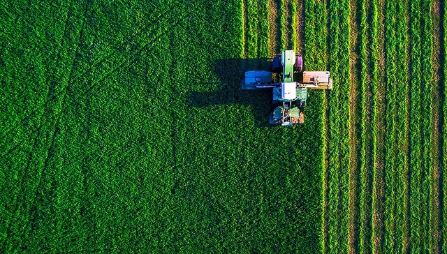 非法占用农用地罪,占用耕地,非法占用土地,刘某,耕地保护,王某,并处罚金,基本农田,李甲,判处被告人