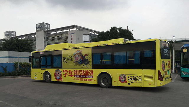 猪兼强驾校进入破产程序，上万学员等待退款