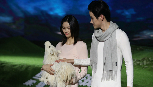 老牌红豆居家想做内衣行业的龙头，它准备好挑战新对手了吗？