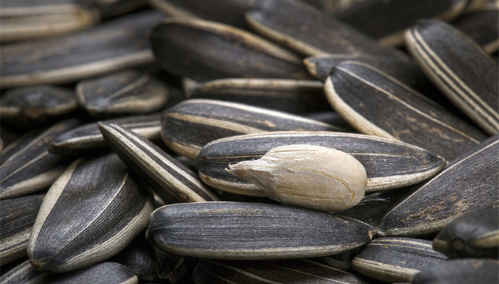 洽洽食品,坚果,线上