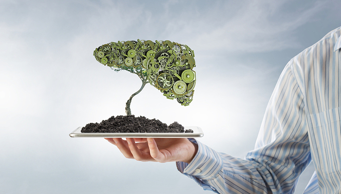 德国葡萄酒中国巡展成都启幕  “雷司令”成关注焦点