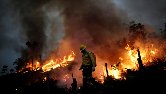亚马孙,火灾,砍伐,烧荒,博索纳罗,湿度