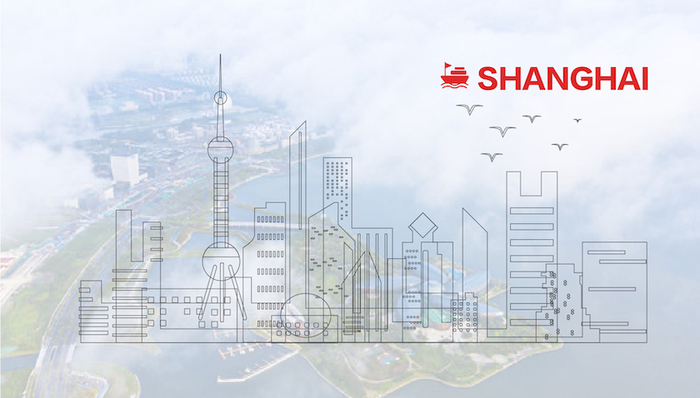 上海自贸区,临港新片区,一周年,成绩