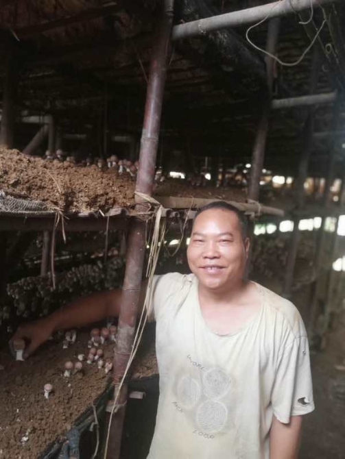 八寨镇搬来的李长应在巴西菇棚务工。本组图片均由陆辉拍摄