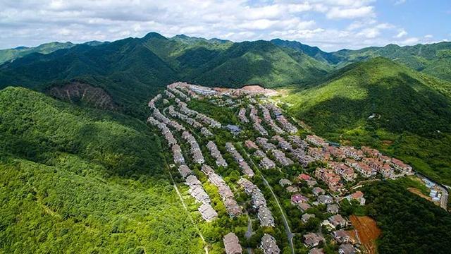 地产商,阳光城,债务危机,泰禾集团